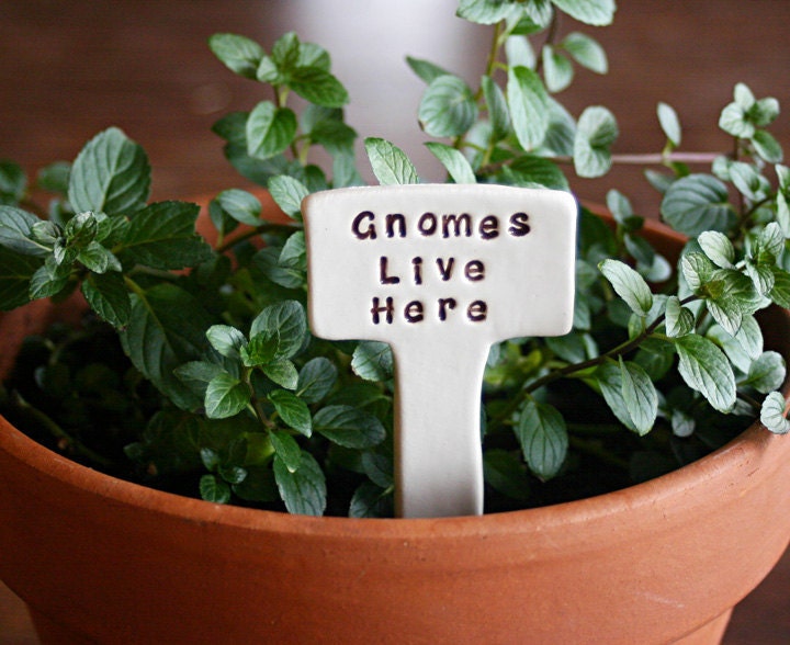 GNOMES LIVE HERE Little Sign Marker Stake for Garden, Plant Pot or Terrarium - Custom Made to Order