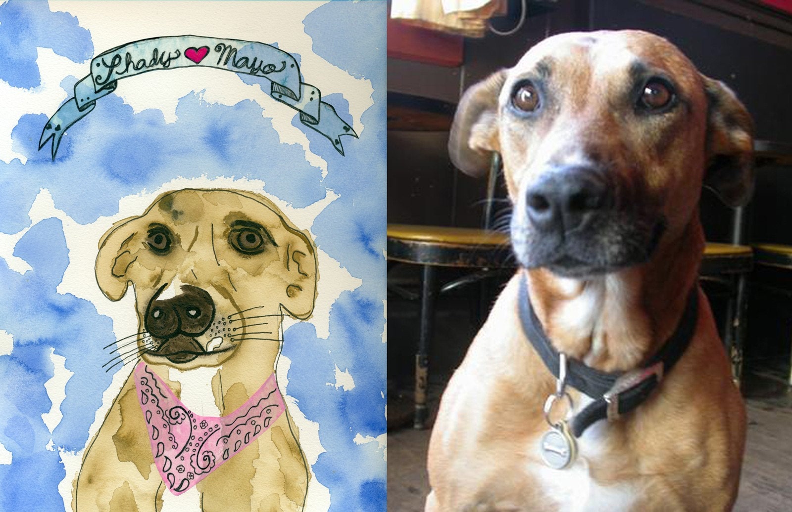 Custom Pet Portrait Original Illustration 8x10