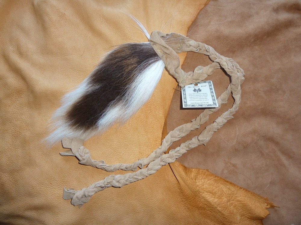 Whitetail Deer Tail