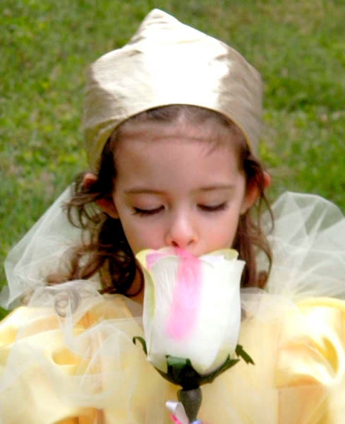 Beauty and the Beast Belle Dress size 2-6 Il_570xn