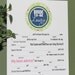 Bachelorette Mad Libs PDF FILE Print Yourself Colors are Customizable