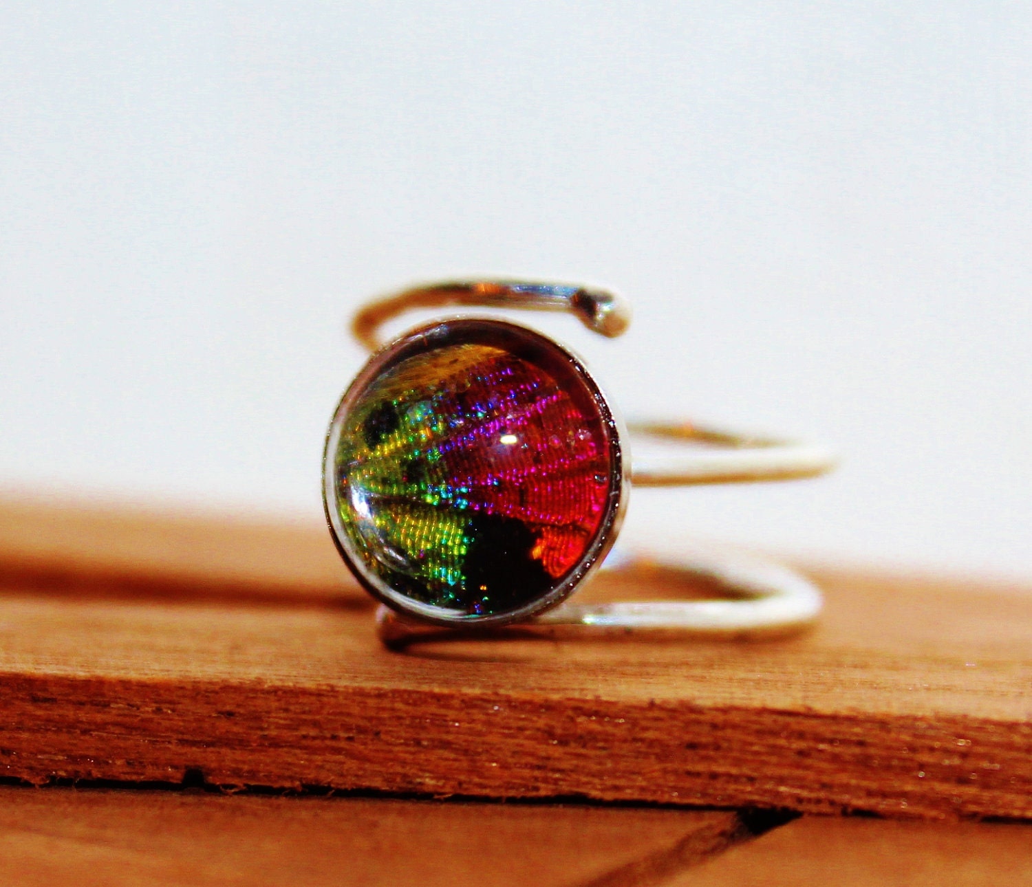 Real Sunset Moth Wing Sterling Silver Ring Size 8  Real Butterfly Wing Ring Mothers Day Cocktail Ring