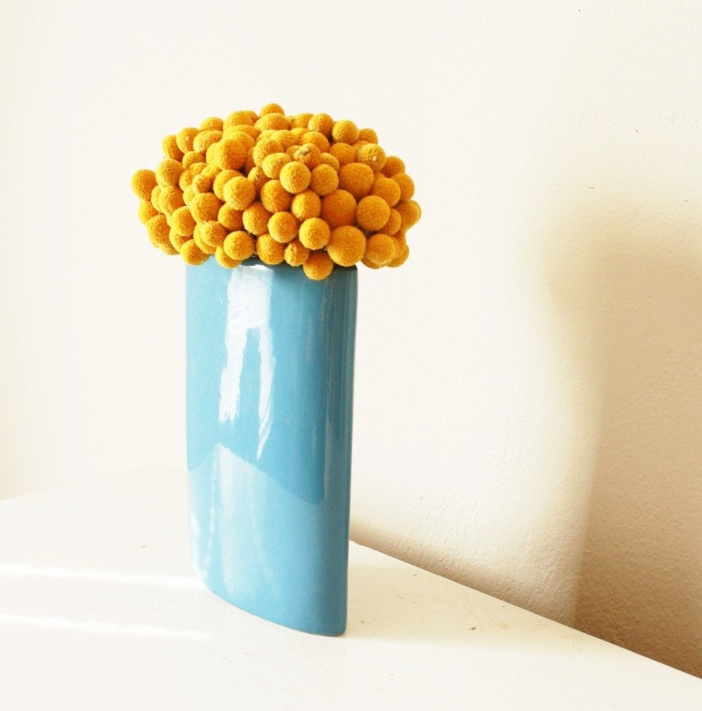 craspedia cluster