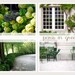 SALE - 8x10 Photo Collection, Paris in Green
