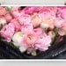 Ranunculus, Paris - 16x20 Paris Photo - French Fine Art Photography - Paris Decor - Pink Home Decor - Wall Art