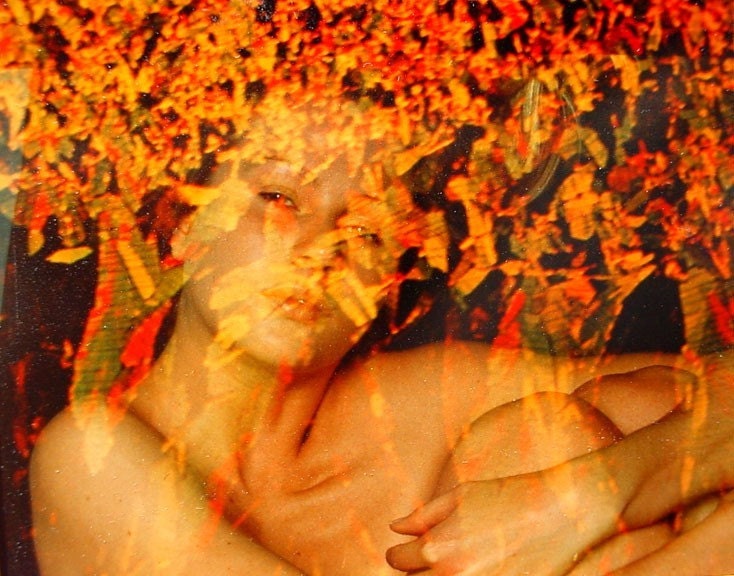 Firedream
