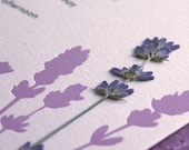 Lavender Field - pressed flower Letterpress Wedding Invitation - lavender/cocoa on pearl
