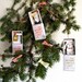 The CHRISTMAS Instant Comfort Pocket Box  - Bunny under the tree