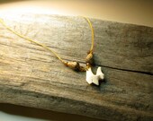 Coyote Tooth Necklace