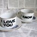 Romania I love you I know Star Wars themed altered vintage teacup and saucer set