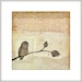 OWL PRINT - Barred owl giclee print - red beige neutral home decor