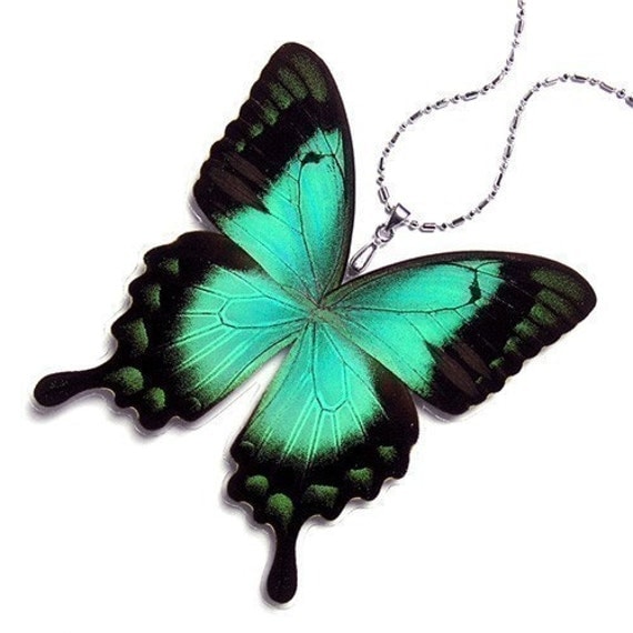 Real Butterfly Wing Necklace / Pendant (WHOLE Green Papilio Lorquinianus Butterfly - W014)  - Buy 2 Get 1 Free
