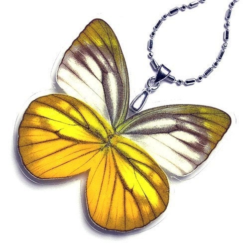 Real Butterfly Wing Necklace / Pendant (WHOLE Cepora Nadina Butterfly - W058) - Buy 2 Get 1 Free
