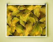 ASH - 8x10 Signed Fine Art Photograph