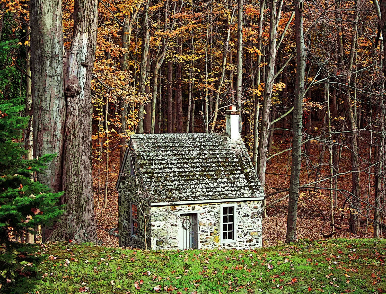 Thanksgiving Photography,  The Cabin fine art photography print  8x10 nature, woods, autumn,