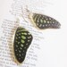 Real Butterfly Wing Earrings