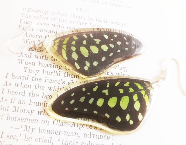 Real Butterfly Wing Earrings