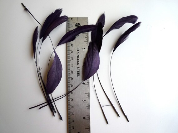 STRIPPED COQUE TAIL / Dark Plum, Aubergine, Wild Berry   /  1139