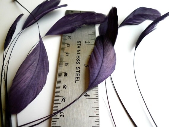 STRIPPED COQUE TAIL / Dark Plum, Aubergine, Wild Berry   /  1139
