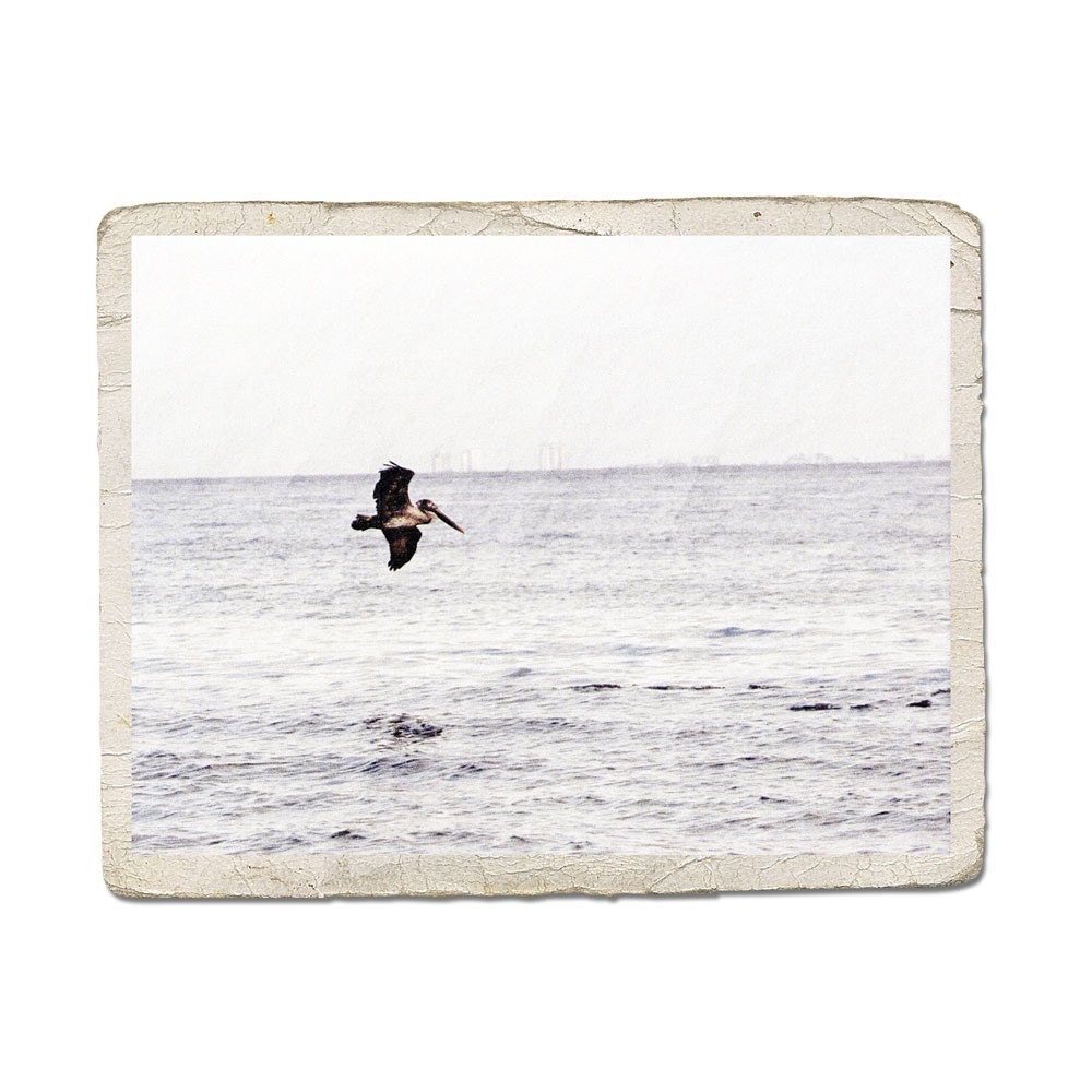 Flight Fine Art Nature Photograph -Pelican Sea Bird Ocean Flying Water Shore Nautical Animal Print