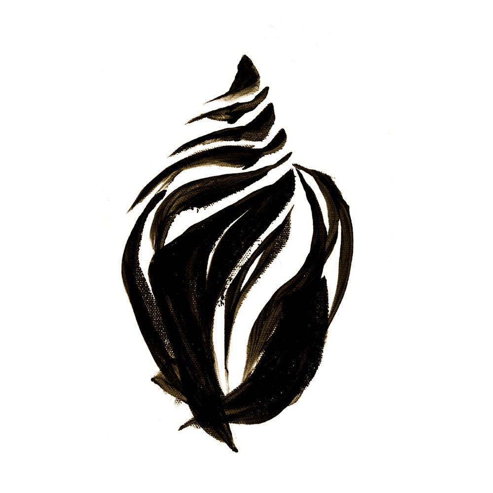 Black and White Seashell Print Spiral Whelk -Shell Minimalist Fine Art Nature Modern Decor