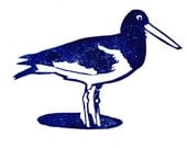 Oystercatcher Rubber Stamp Hand Carved