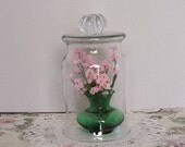 Glass Bell Cloche Dome Cover Vintage Inspired Handmade