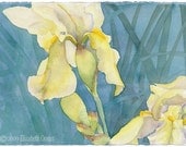 Iris Flower Garden Spring watercolor print 8x10