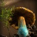 A happy felted mushroom Made to order