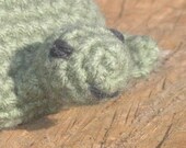 Stuffed Turtle Named Tony