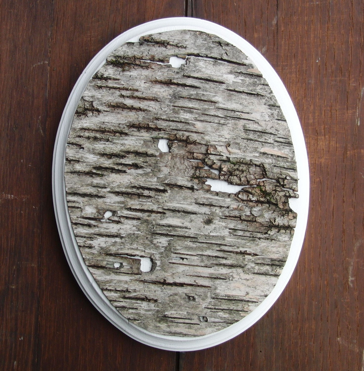 Birch bark wall hanging, Woodpecker Holes