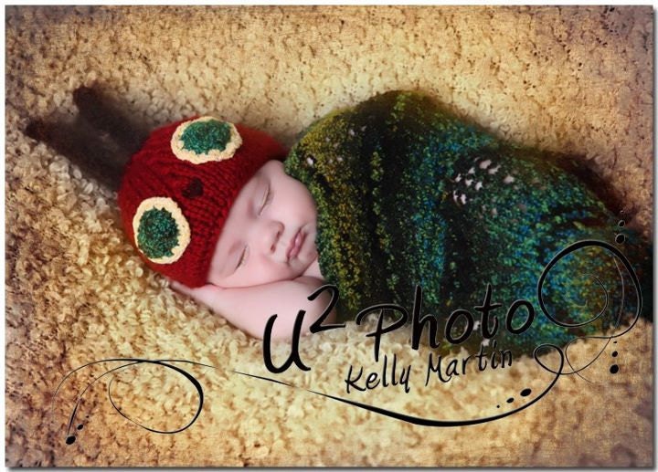 Little Caterpillar Newborn Cocoon and Hat Set