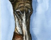 A Little Imposition- Greyhound Dog Art Print  7 X 5 INCH
