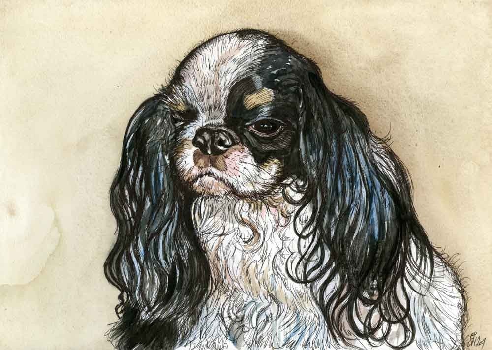 I have not got the grumps - King Charles Spaniel - Dog art print