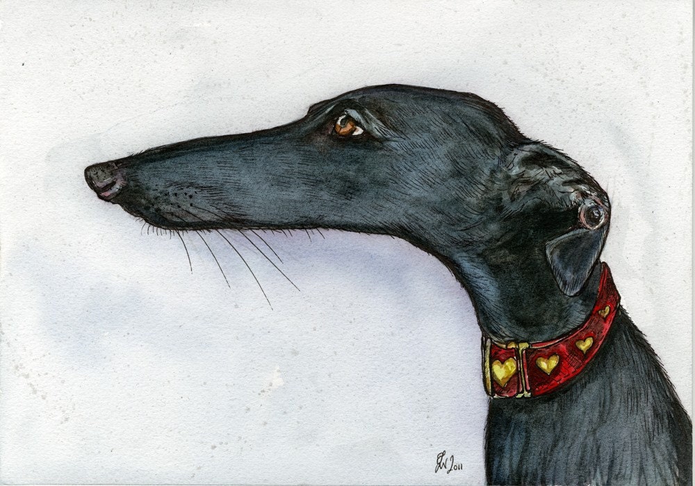 Eyes for only you- Greyhound Dog Print - 5 x 7 inch