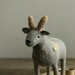 wandering goat