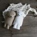 dax : polar bear