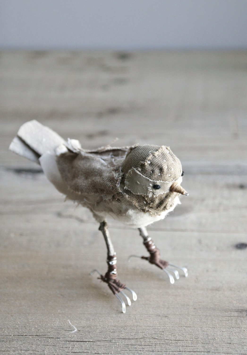 bandit bird