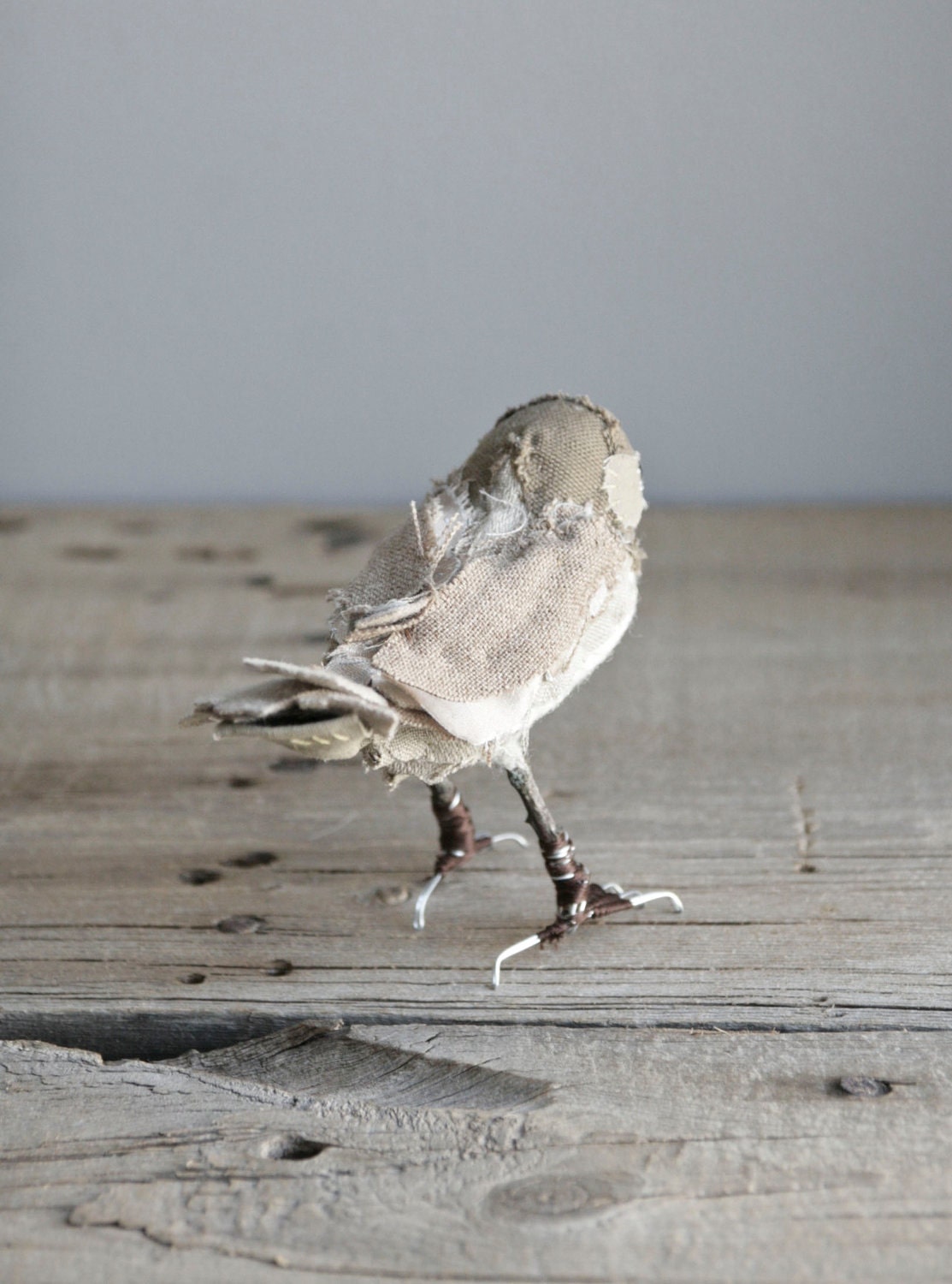 bandit bird