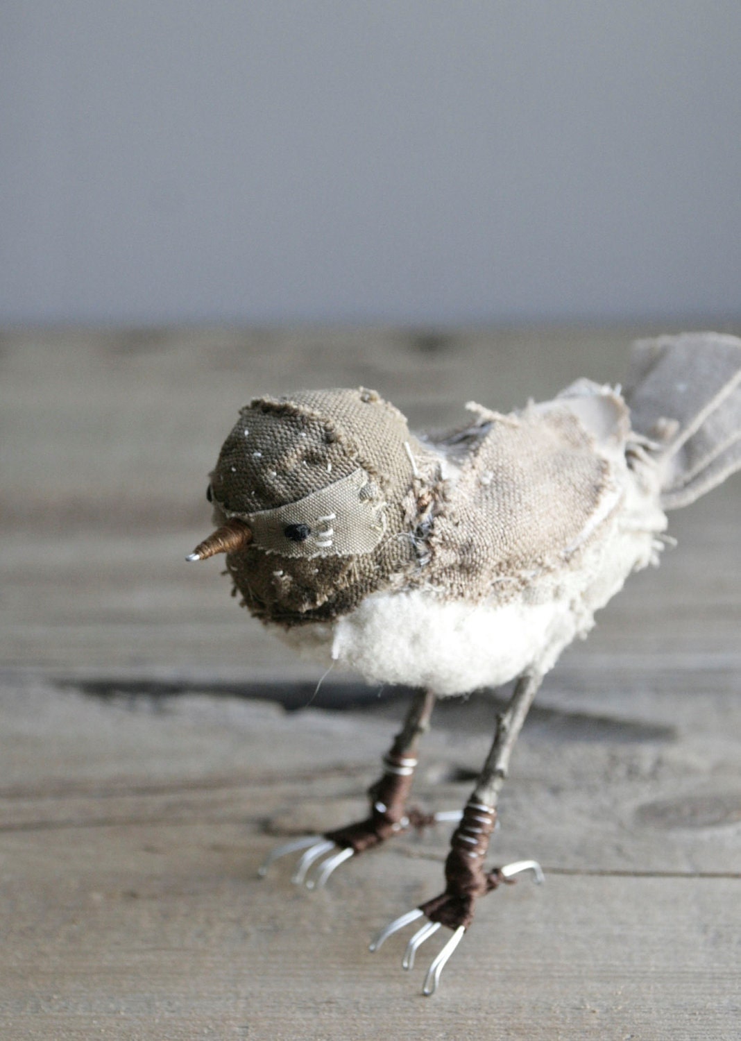 bandit bird