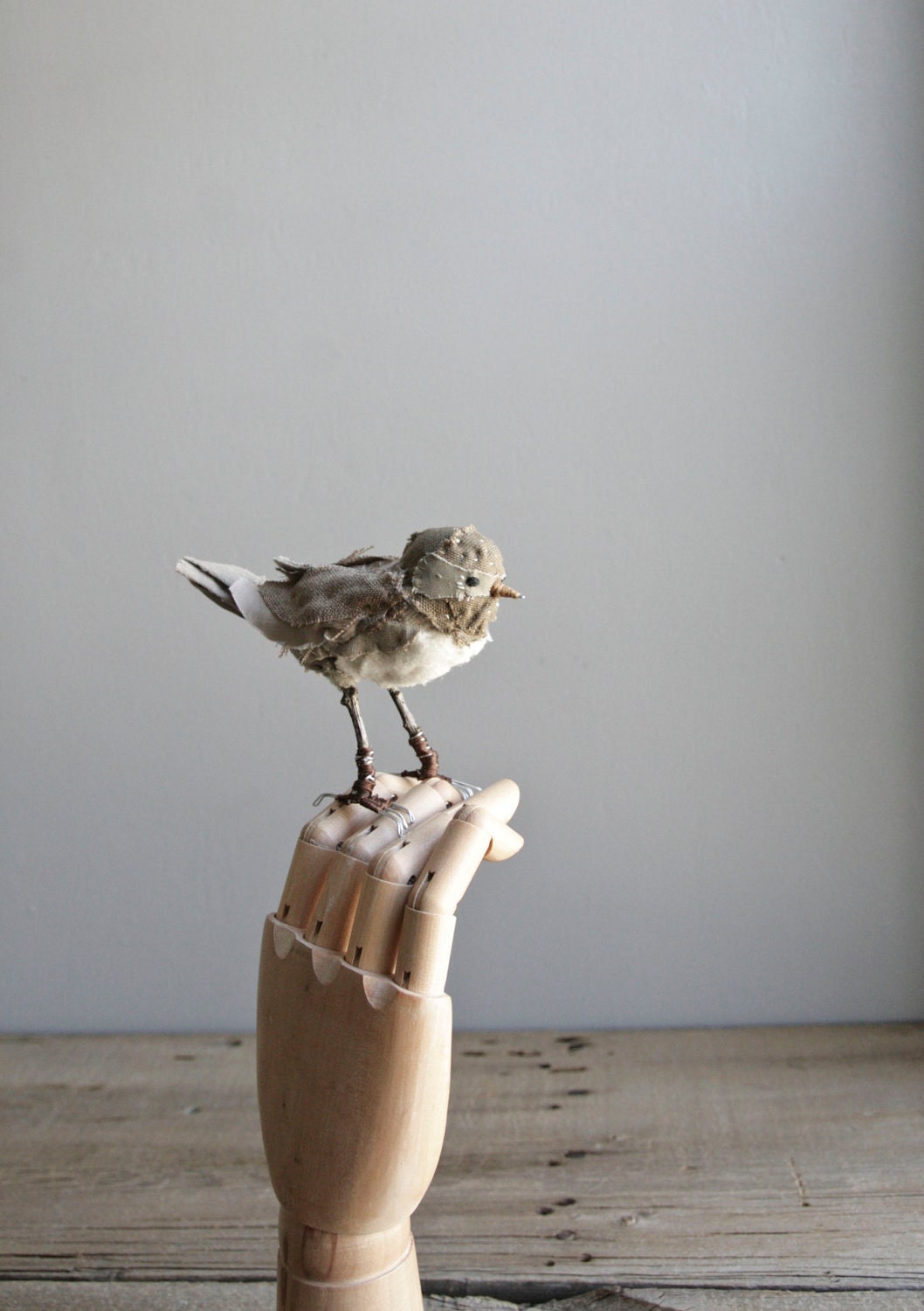 bandit bird