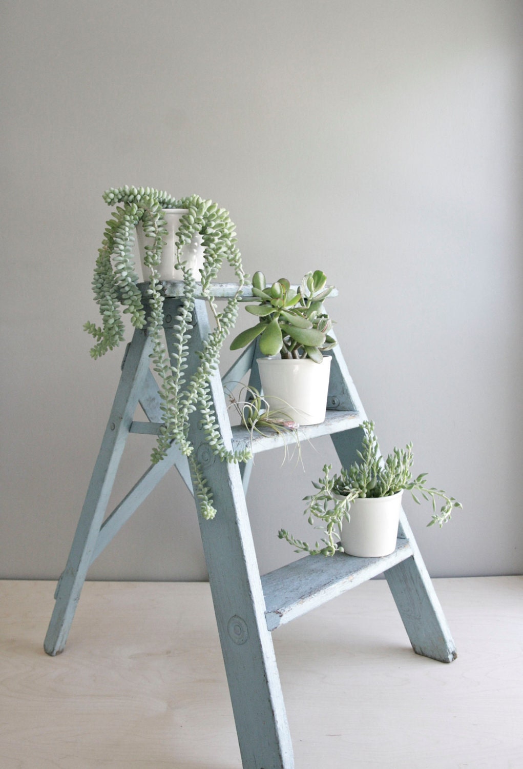 vintage aqua painter's ladder