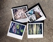 Coasters, Nature Polaroid Coasters  - Set of 4 Ceramic Drink Coasters, original photography by Jennifer Jackson  Cottage chic decor,