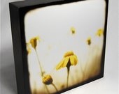 5x5 Photo Block - Morning Song