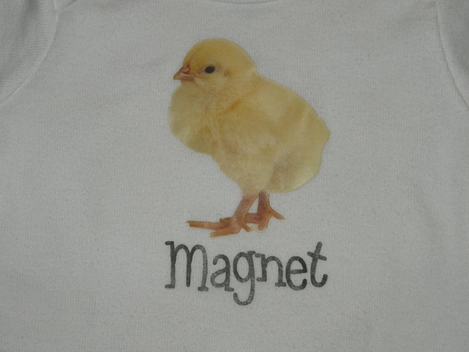 Baby Boy CHICK MAGNET Baby Onesie - YOU Pick the Size