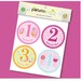 Monthly Baby Onesie Stickers for Shirts - Sunshine Garden for Girls