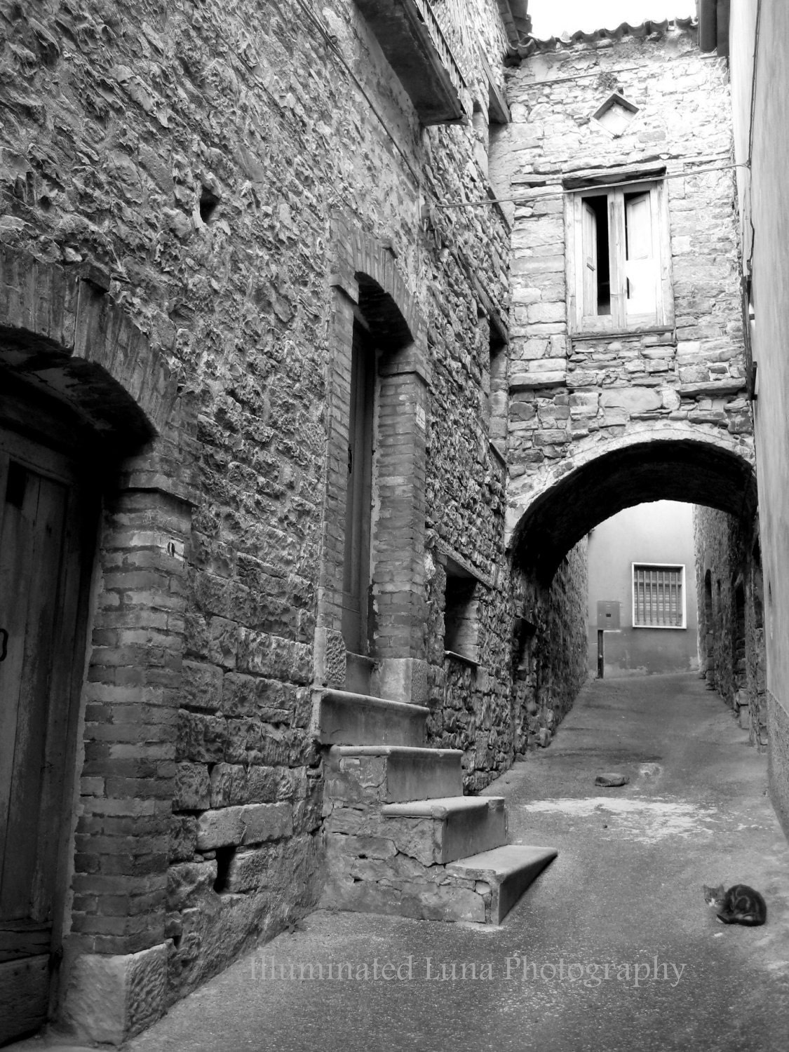Italian Alley Cat - Signed 11 x 14 Black and White Fine Art Travel Photograph, Abruzzo, Italy, Architecture, Door, Europe by IlluminatedLuna