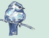 Bird Drawing - New Blue Bird - Bird Wall Decor