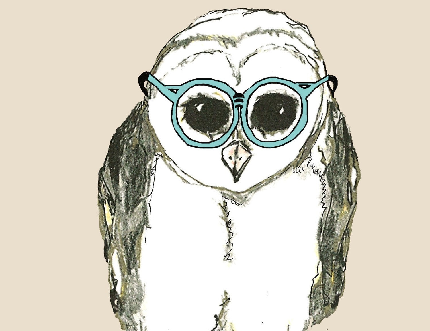 Owl Illustration - New Glasses For School
