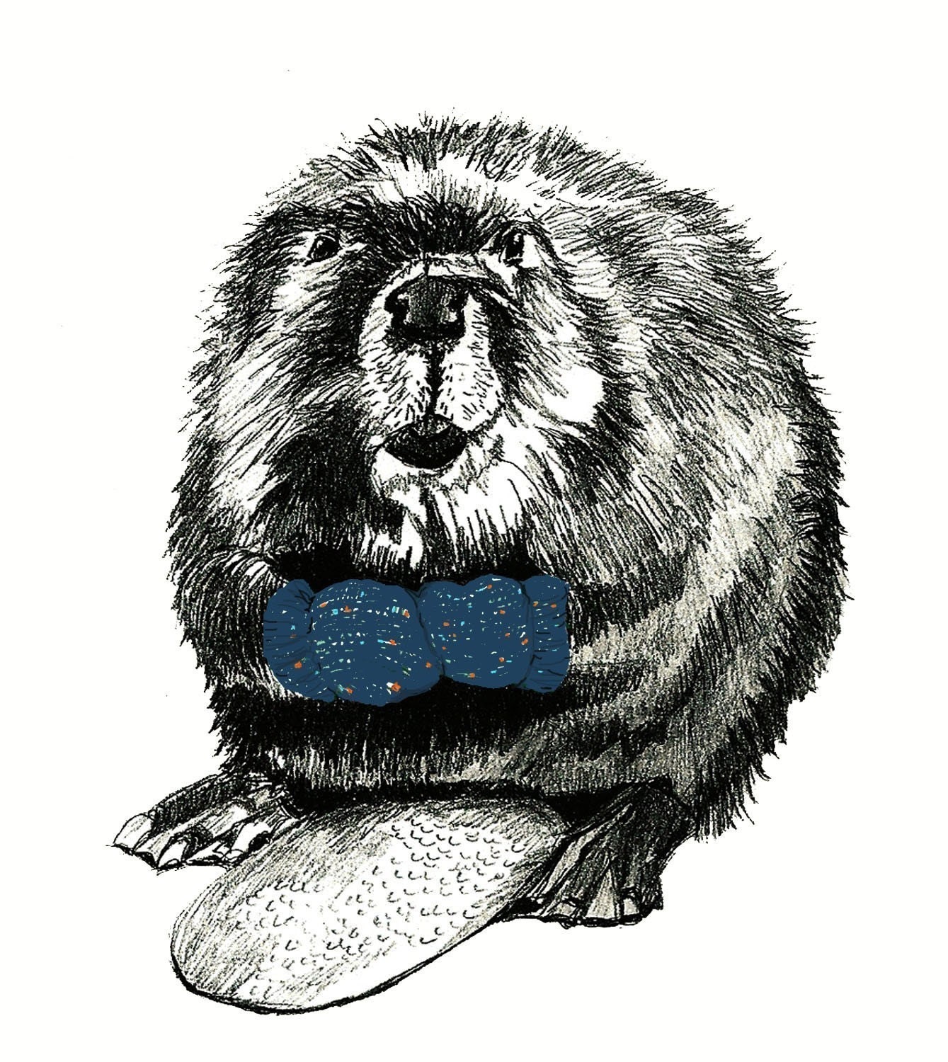 Beaver Drawing - Beavers Love Blue Mittens Illustration